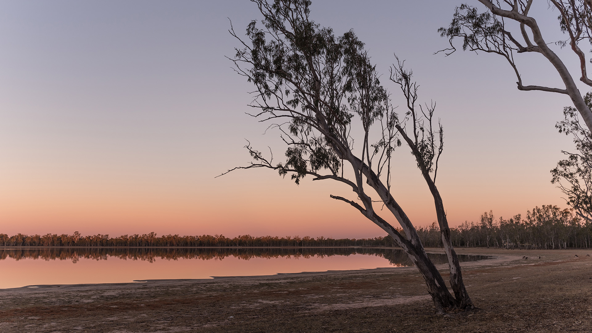 Darling Downs and South West